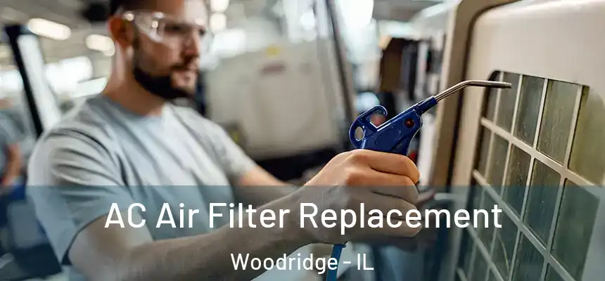  AC Air Filter Replacement Woodridge - IL