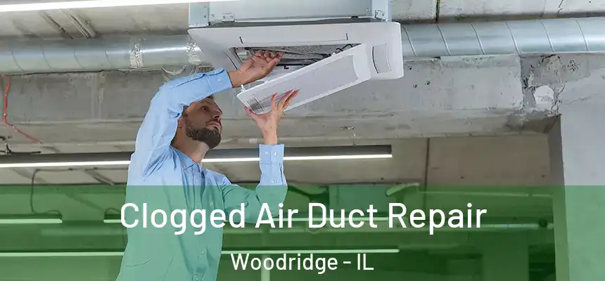  Clogged Air Duct Repair Woodridge - IL