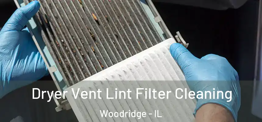  Dryer Vent Lint Filter Cleaning Woodridge - IL