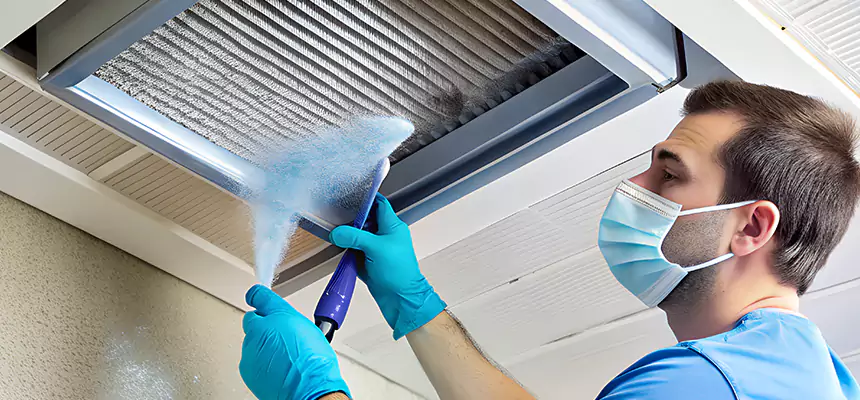 Proactive Dryer Vent & Auxiliary Duct Pollen Cleanup in Woodridge, IL