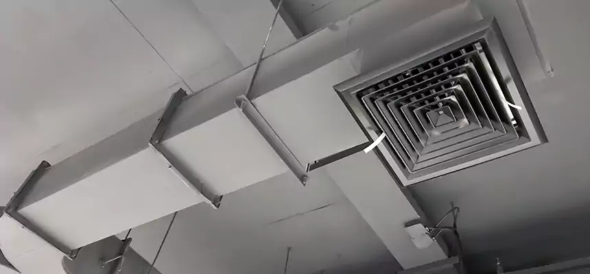 Restorative Allergy Relief Vent Cleaning – Coil, Blower & Housing Detail in Woodridge