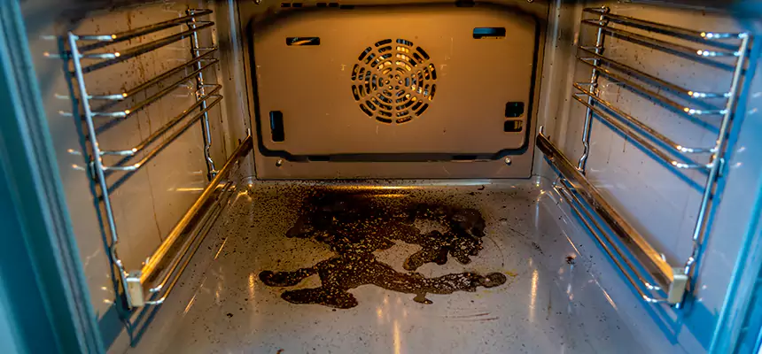 Our Dryer Vent Mold Cleaning Services in Woodridge, IL