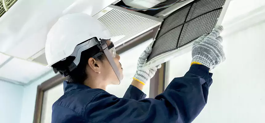 Our Mold & Mildew Removal from Air Ducts Services in Woodridge, IL