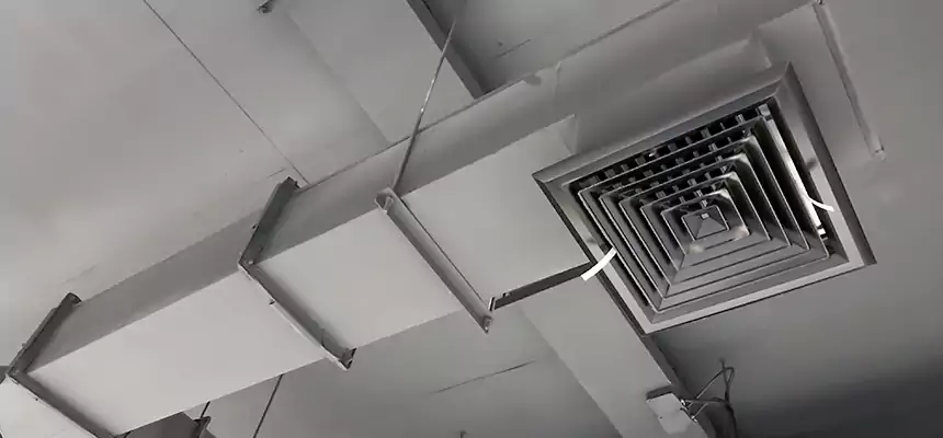 Our Rodent Droppings In Vents Services in Woodridge, IL