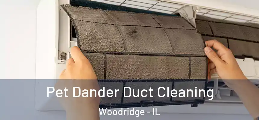  Pet Dander Duct Cleaning Woodridge - IL