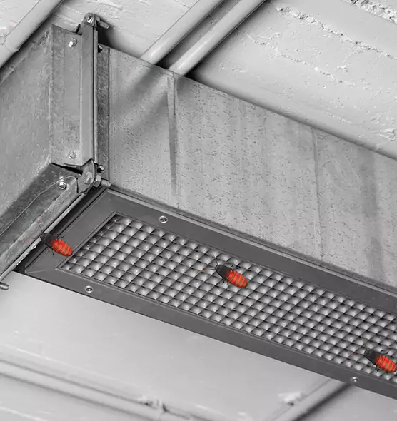 About Air Duct Cockroach Removal in Woodridge, IL