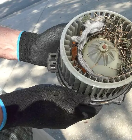 About Air Duct Rat Removal in Woodridge, IL