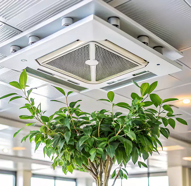 Why Homeowners & Businesses Trust Us in Woodridge, IL