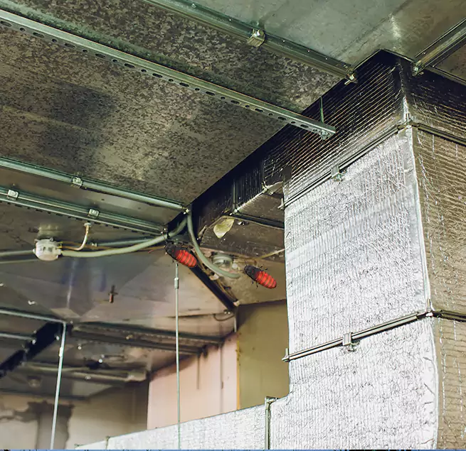 Why Homeowners & Businesses Trust Us Woodridge, IL?